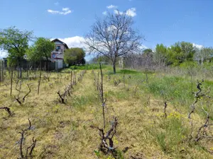 Teren intravilan de vânzare – 3.250 mp în Filesti, jud. Galați -65,000 euro neg.