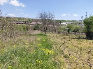 Teren intravilan 3.250 mp în Filești – Ideal pentru casă sau investiție! - imagine 3