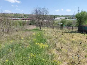 Teren intravilan 3.250 mp în Filești – Ideal pentru casă sau investiție!