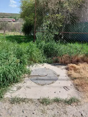 Teren intravilan 3.250 mp în Filești – Ideal pentru casă sau investiție! - imagine 11