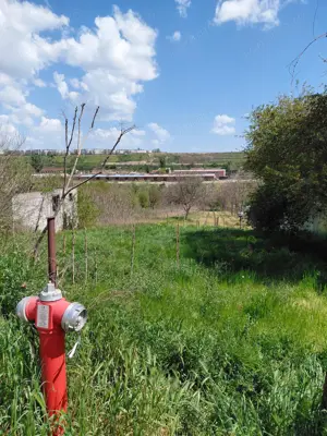 Teren intravilan 3.250 mp în Filești – Ideal pentru casă sau investiție! - imagine 13