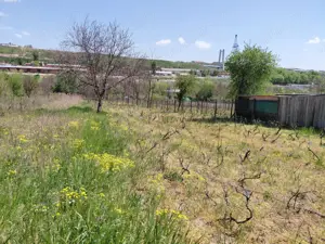 Teren intravilan 3.250 mp în Filești – Ideal pentru casă sau investiție! - imagine 6