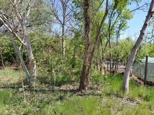 Teren intravilan 3.250 mp în Filești – Ideal pentru casă sau investiție! - imagine 16