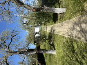 Casa de vanzare - imagine 3