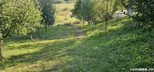 Teren 3600 mp si constructie Floresti Donath Grigorescu Cluj Napoca  - imagine 6