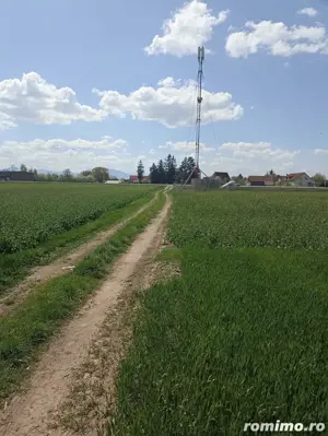 De vânzare teren extravilan lâng  drum DN11 - imagine 2