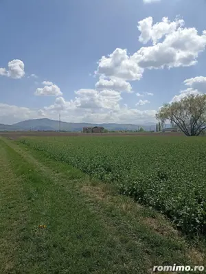 De vânzare teren extravilan lâng  drum DN11 - imagine 5