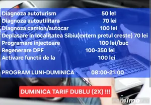 Diagnoza Auto camion,50lei Erori Regenerare DPF filtru particule