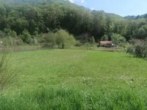 Teren intravilan Godinesti Hd 1803mp 