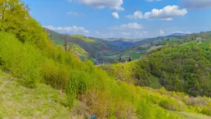 Teren 11,342 mp Poiana Marului /Extravilan/Oportunitate investiție - imagine 10