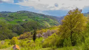 Teren 11,342 mp Poiana Marului /Extravilan/Oportunitate investiție - imagine 11