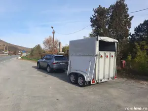 Transport animale vii   