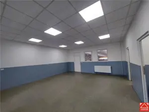 Hala cu pod rulant, de vanzare sau de inchiriat, in Zona Industriala de vest! - imagine 9