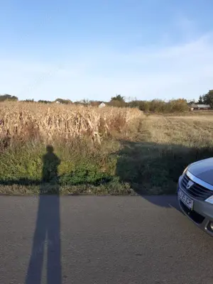 Teren  intravilan in centrul  localitatii Braesti