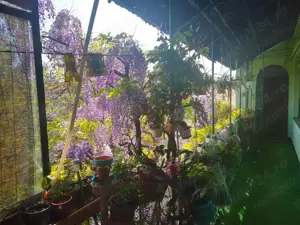 4 cam centr proprie ETAJ 1 zona Centrala - imagine 2