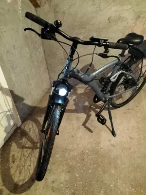 Bicicletă polivalentă electrică Original 920E
