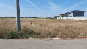 Vand teren 9500 mp - locuri de casa comuna Dragomiresti-Vale sat Zurbaua (parcele intravilan)  - imagine 4