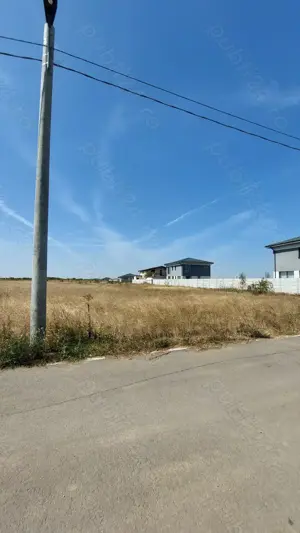 Vand teren 9500 mp - locuri de casa comuna Dragomiresti-Vale sat Zurbaua (parcele intravilan)  - imagine 2