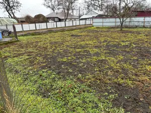 Casa batraneasca cu anexe si teren in Viisoara, intravilan - imagine 4