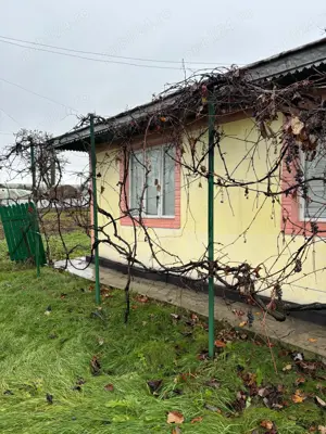 Casa batraneasca cu anexe si teren in Viisoara, intravilan