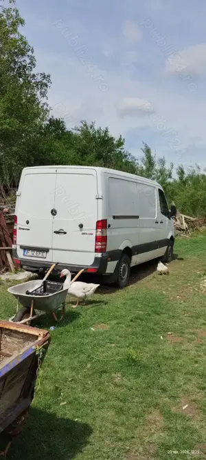 Mercedes Sprinter 313 - 2009 - imagine 2