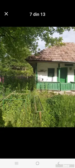 Casă batrânească+Pădure Fânețe