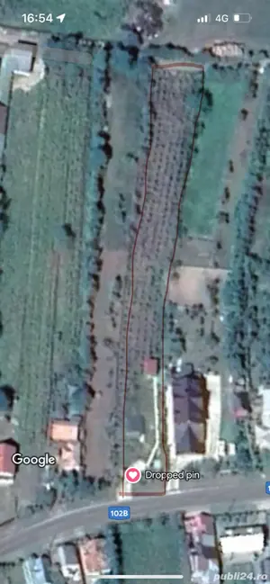 vand livada pruni in rod - imagine 6