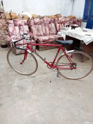 Vand cursiera urgent preț avantajos 1000 neg. - imagine 2