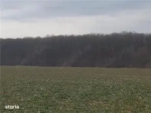 Vând 2 parcele teren în Buftea Flămânzeni cu 512 mp fiecare, alipite 50 euro mp usor negociabil - imagine 10