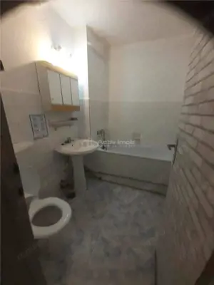 2 cam - zona Podgoria - imagine 5