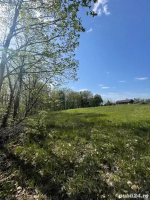 Teren ideal pentru casa cu Bonus - imagine 4