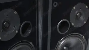 Boxe raft Dali 102,2 x 70 W,8 Ohm. - imagine 3