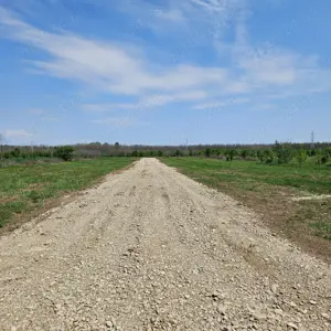 Teren Sabareni intravilan 400 m2 langa padure - imagine 6