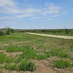 Teren Sabareni intravilan 400 m2 langa padure - imagine 4