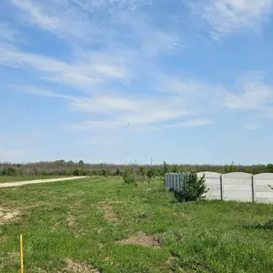 Teren Sabareni intravilan 400 m2 langa padure - imagine 7