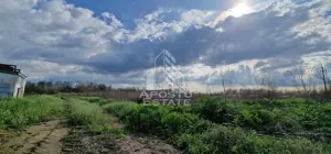 Teren intravilan langa case 5000 mp , apa , curent , Sacosu Turcesc - imagine 3