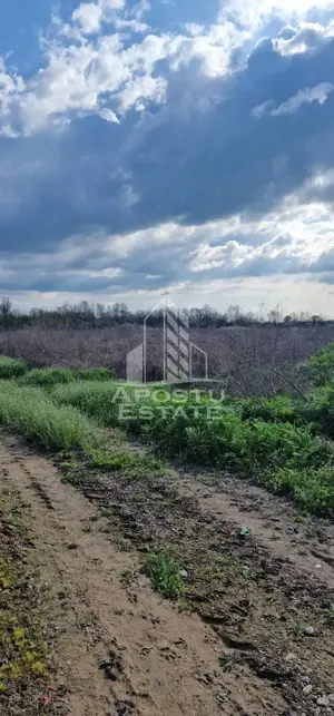 Teren intravilan , curent , apa , nr de casa Sacosu Turcesc - imagine 4