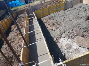 case ,foisoare  - imagine 2