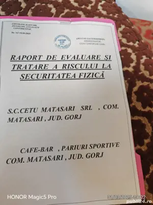 analize de risc la securitatea fizică 
