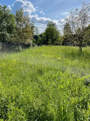 Teren vânzare Somcuta Mare - imagine 3