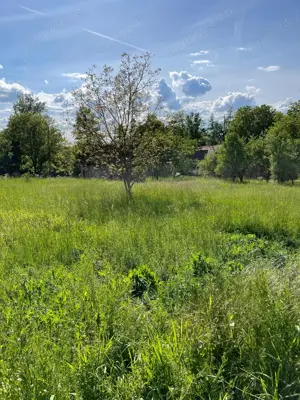 Teren vânzare Somcuta Mare - imagine 2