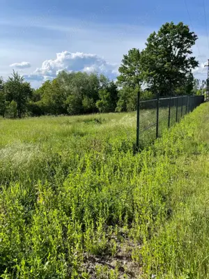 Teren vânzare Somcuta Mare - imagine 5