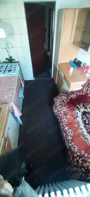 3 Camere Podu Ros - Aleea Rozelor - imagine 9