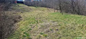 vand teren Sarata Monteoru  - imagine 4