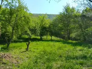 Teren extravilan Băile Herculane 5000 m2 - imagine 2