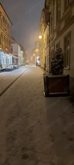 2 apartamente, Centrul Istoric, ideal regim hotelier și locuinta