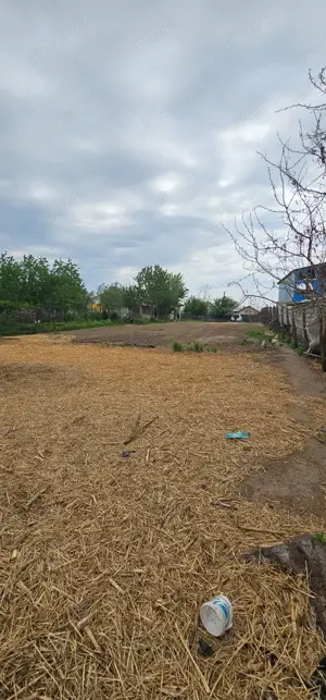 Casa de vânzare, com.Luciu - imagine 10