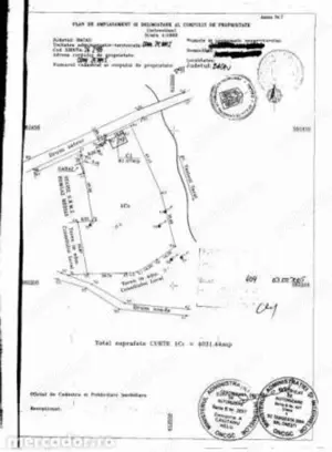 Pamant intravila Salatruc Darmanesti  Bacau - imagine 2