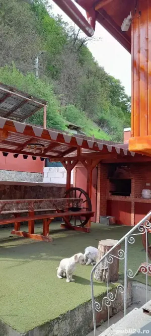 Casa de vânzare  - imagine 7