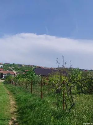 Teren Paleu zona Oncea in fosta livada